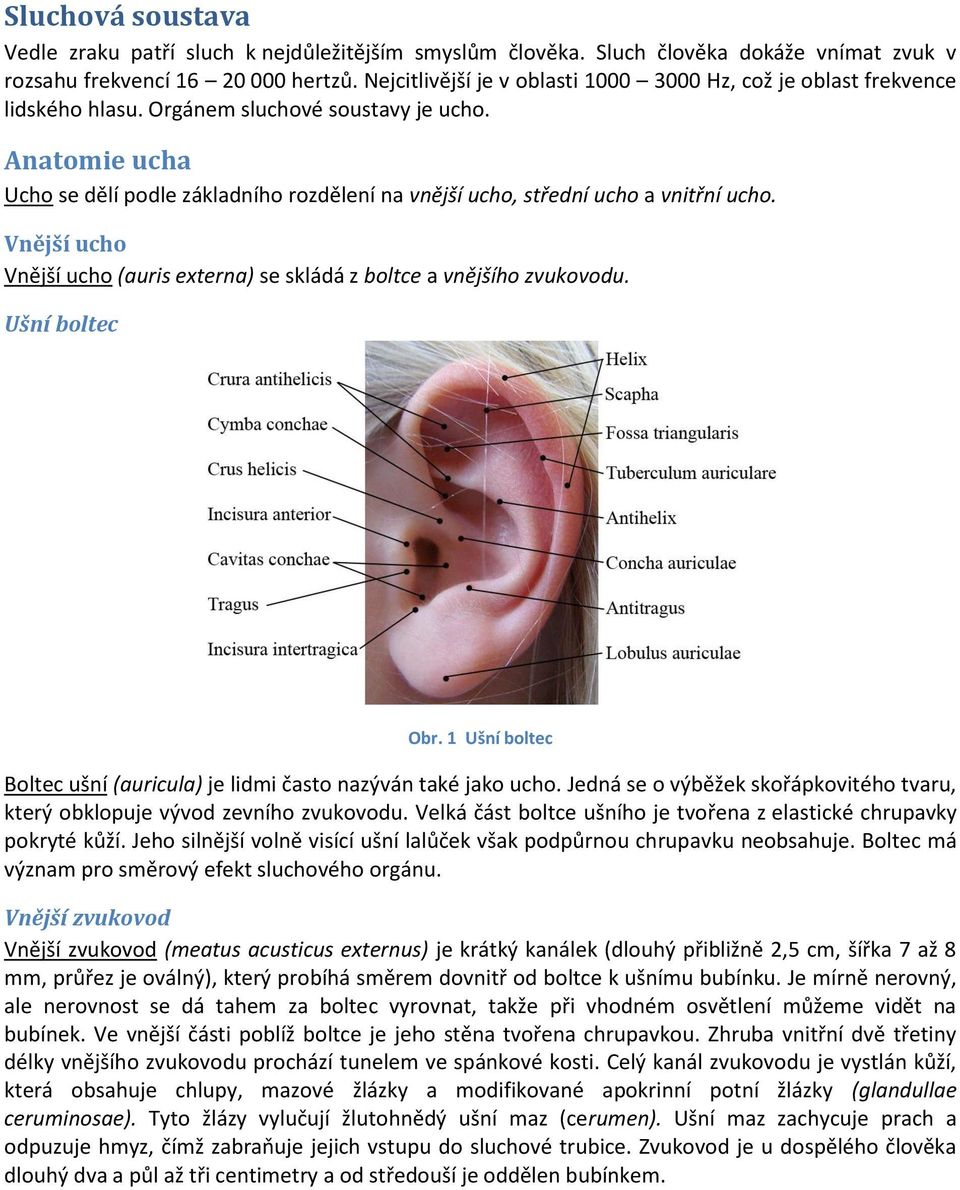 Anatomie ucha Ucho se dělí podle základního rozdělení na vnější ucho, střední ucho a vnitřní ucho. Vnější ucho Vnější ucho (auris externa) se skládá z boltce a vnějšího zvukovodu. Ušní boltec Obr.