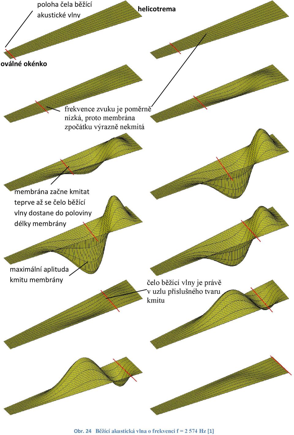 běžící vlny dostane do poloviny délky membrány maximální aplituda kmitu membrány čelo běžící