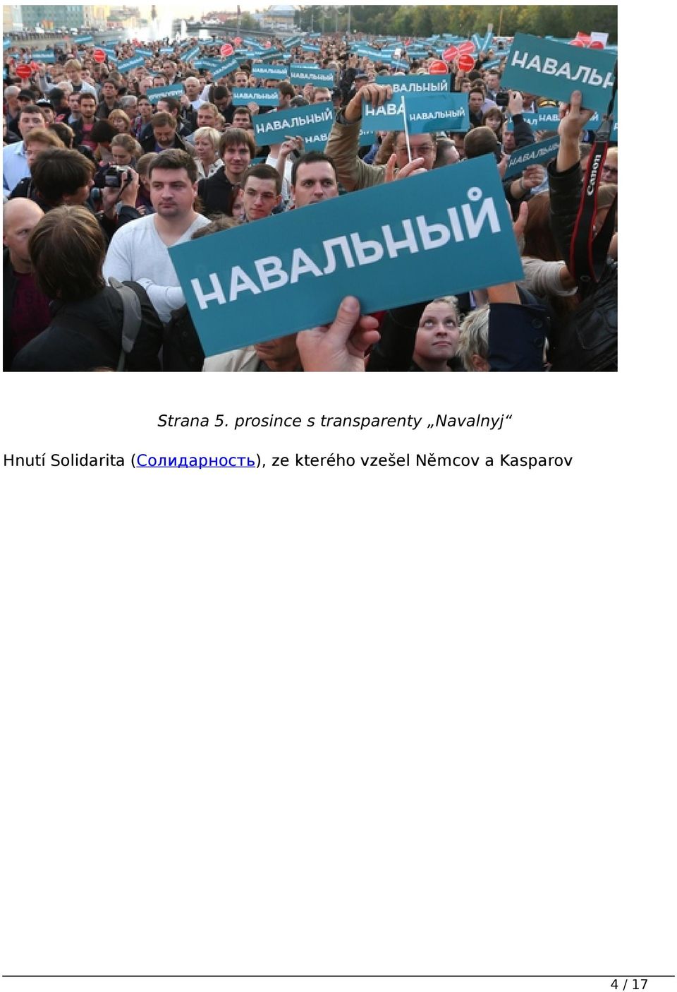 Navalnyj Hnutí Solidarita