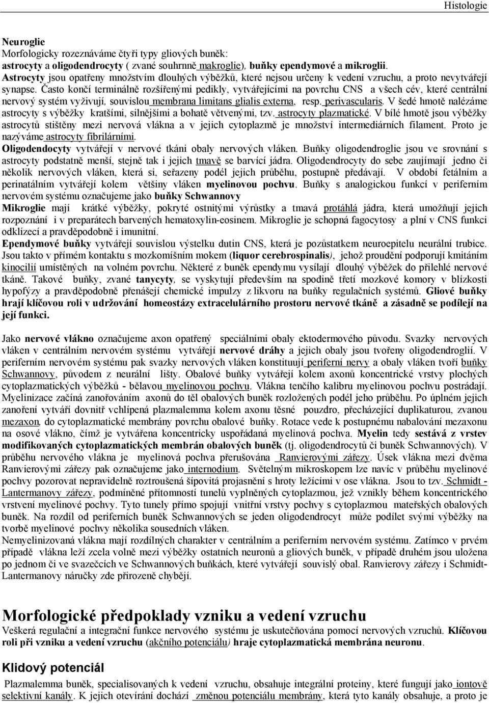 Často končí terminálně rozšířenými pedikly, vytvářejícími na povrchu CNS a všech cév, které centrální nervový systém vyživují, souvislou membrana limitans glialis externa, resp. perivascularis.