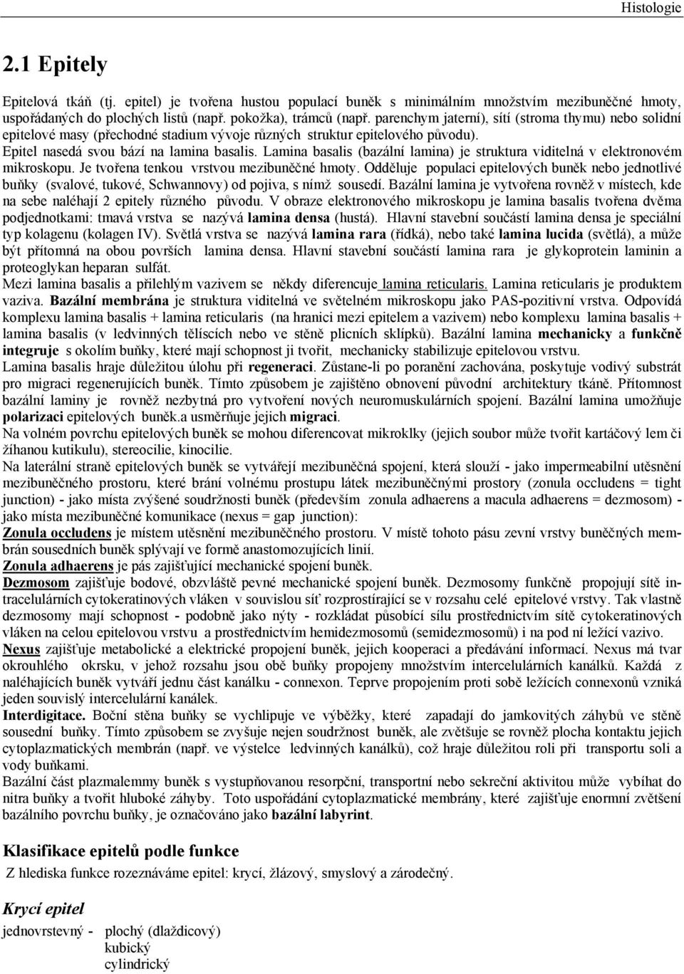 Lamina basalis (bazální lamina) je struktura viditelná v elektronovém mikroskopu. Je tvořena tenkou vrstvou mezibuněčné hmoty.