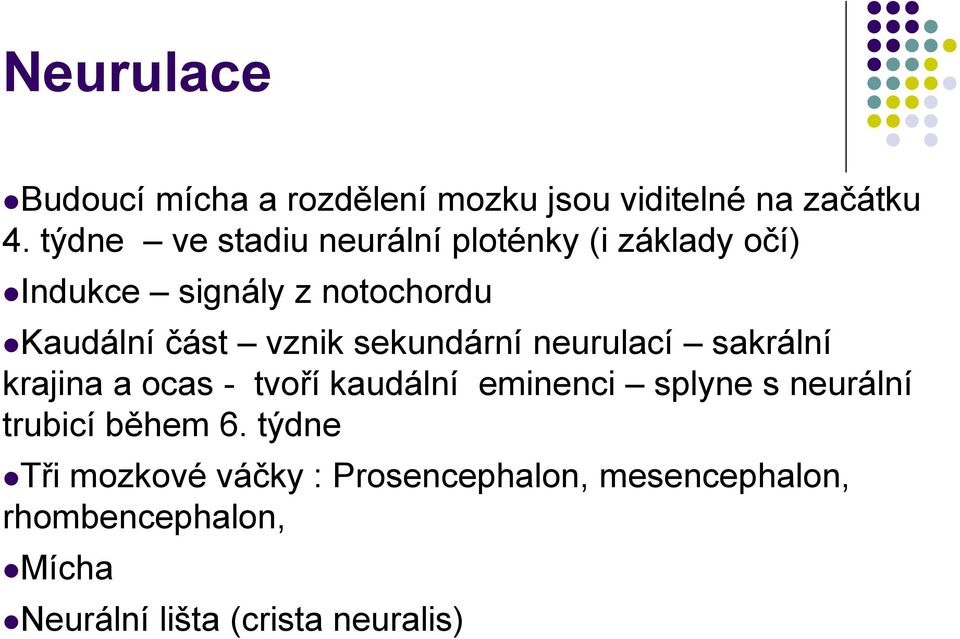 vznik sekundární neurulací sakrální krajina a ocas - tvoří kaudální eminenci splyne s neurální