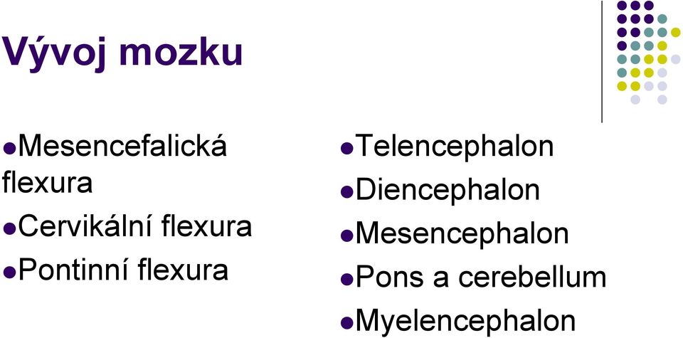 Telencephalon Diencephalon