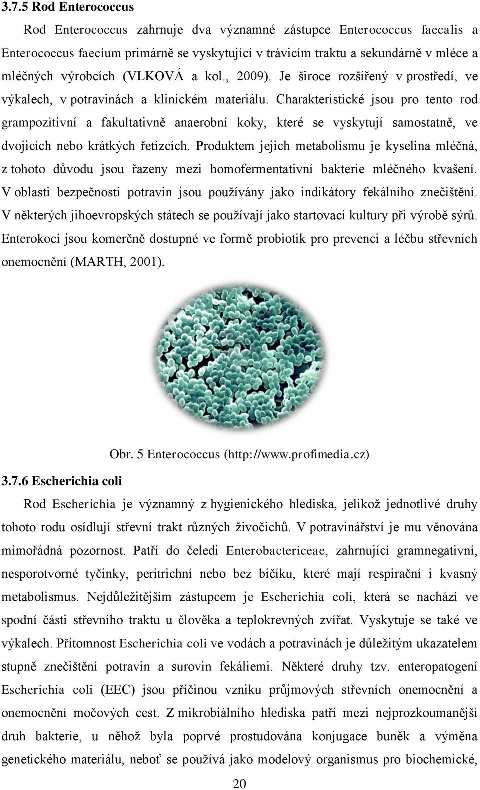 Charakteristické jsou pro tento rod grampozitivní a fakultativně anaerobní koky, které se vyskytují samostatně, ve dvojicích nebo krátkých řetízcích.