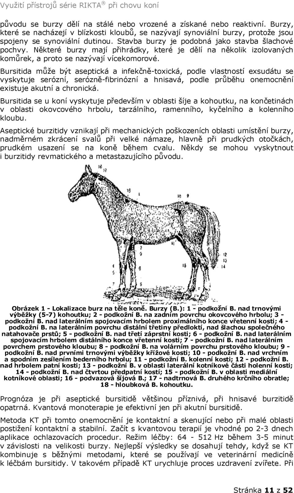 Bursitida může být aseptická a infekčně-toxická, podle vlastností exsudátu se vyskytuje serózní, serózně-fibrinózní a hnisavá, podle průběhu onemocnění existuje akutní a chronická.