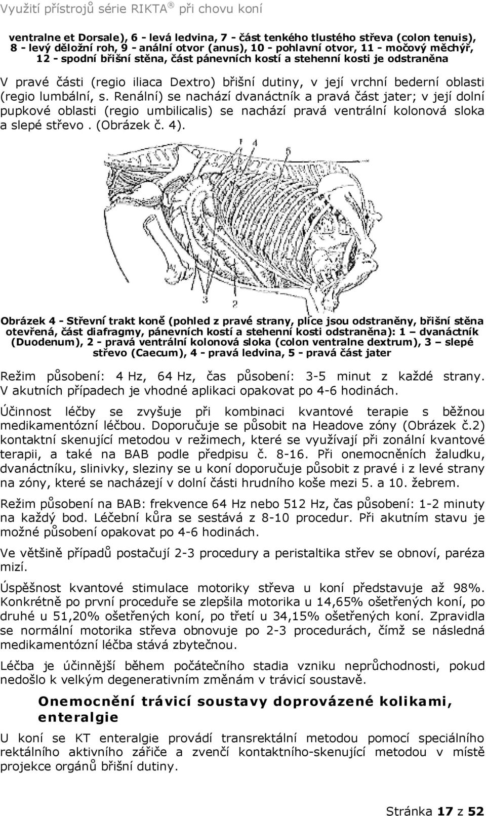 Renální) se nachází dvanáctník a pravá část jater; v její dolní pupkové oblasti (regio umbilicalis) se nachází pravá ventrální kolonová sloka a slepé střevo. (Obrázek č. 4).