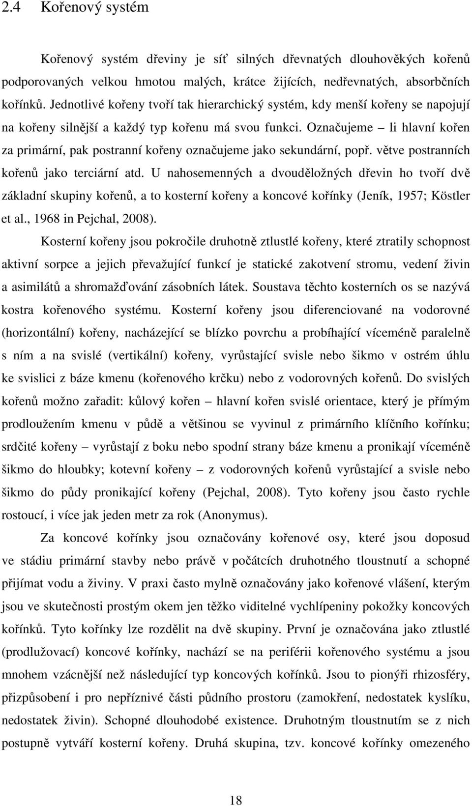 Označujeme li hlavní kořen za primární, pak postranní kořeny označujeme jako sekundární, popř. větve postranních kořenů jako terciární atd.