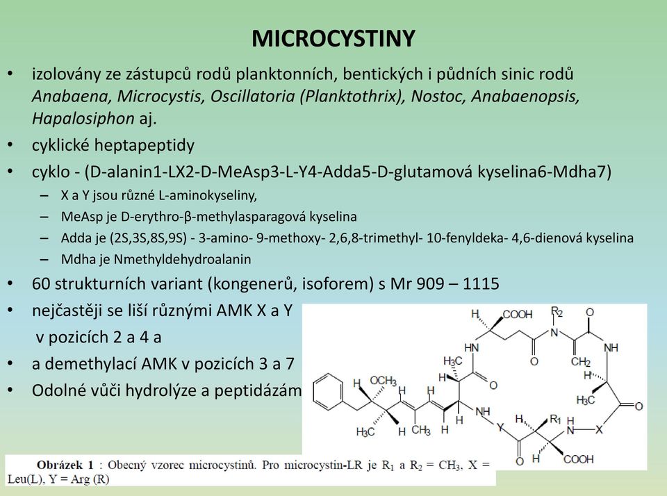 cyklické heptapeptidy cyklo - (D-alanin1-LX2-D-MeAsp3-L-Y4-Adda5-D-glutamová kyselina6-mdha7) X a Y jsou různé L-aminokyseliny, MeAsp je D-erythro-β-methylasparagová