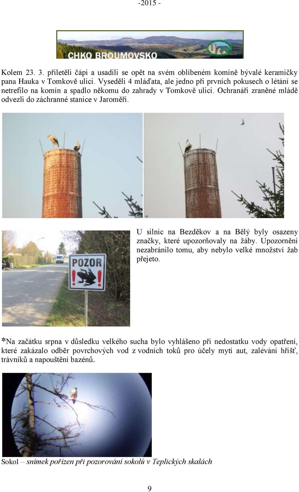 Ochranáři zraněné mládě odvezli do záchranné stanice v Jaroměři. U silnic na Bezděkov a na Bělý byly osazeny značky, které upozorňovaly na žáby.