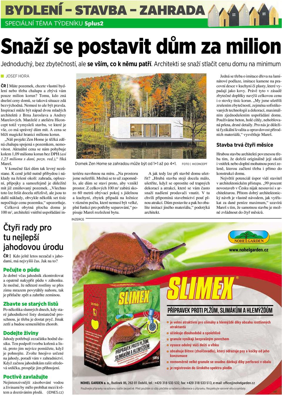 Pečujte o půdu Je dobré včas jahodník zkontrolovat aopatrně nakypřit půdu vzáhonku. Je možné, že některé rostliny se přes zimu mrazem povytáhly nahoru, tak je přitlačte zpět a zahrňte zeminou.