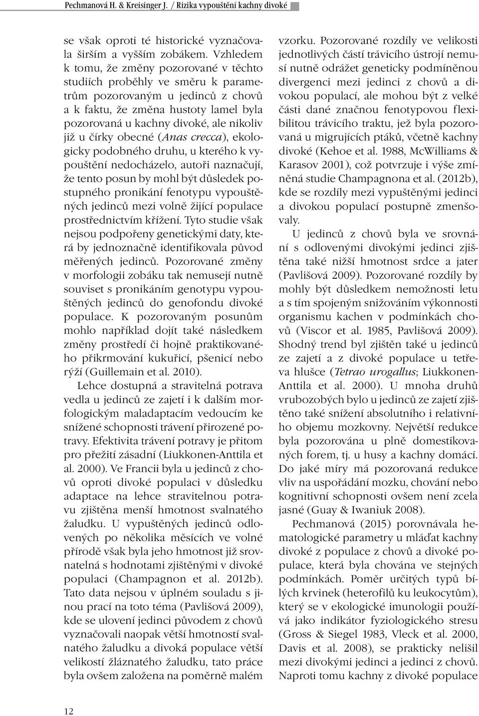 u čírky obecné (Anas crecca), ekologicky podobného druhu, u kterého k vypouštění nedocházelo, autoři naznačují, že tento posun by mohl být důsledek postupného pronikání fenotypu vypouštěných jedinců