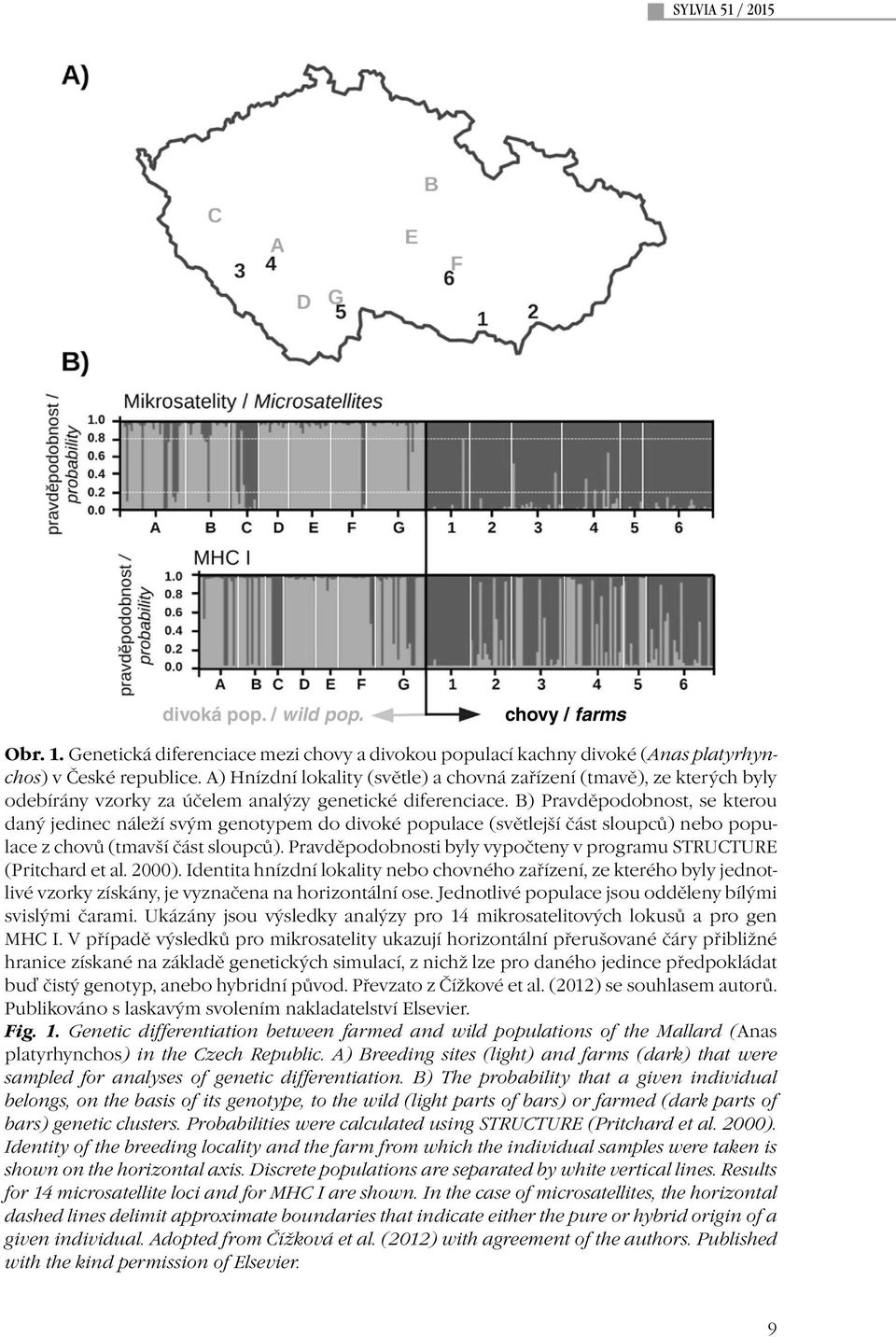B) Pravděpodobnost, se kterou daný jedinec náleží svým genotypem do divoké populace (světlejší část sloupců) nebo populace z chovů (tmavší část sloupců).