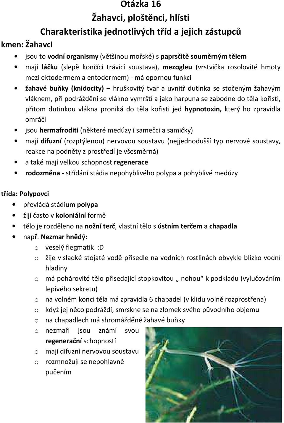 podráždění se vlákno vymrští a jako harpuna se zabodne do těla kořisti, přitom dutinkou vlákna proniká do těla kořisti jed hypnotoxin, který ho zpravidla omráčí jsou hermafroditi (některé medúzy i