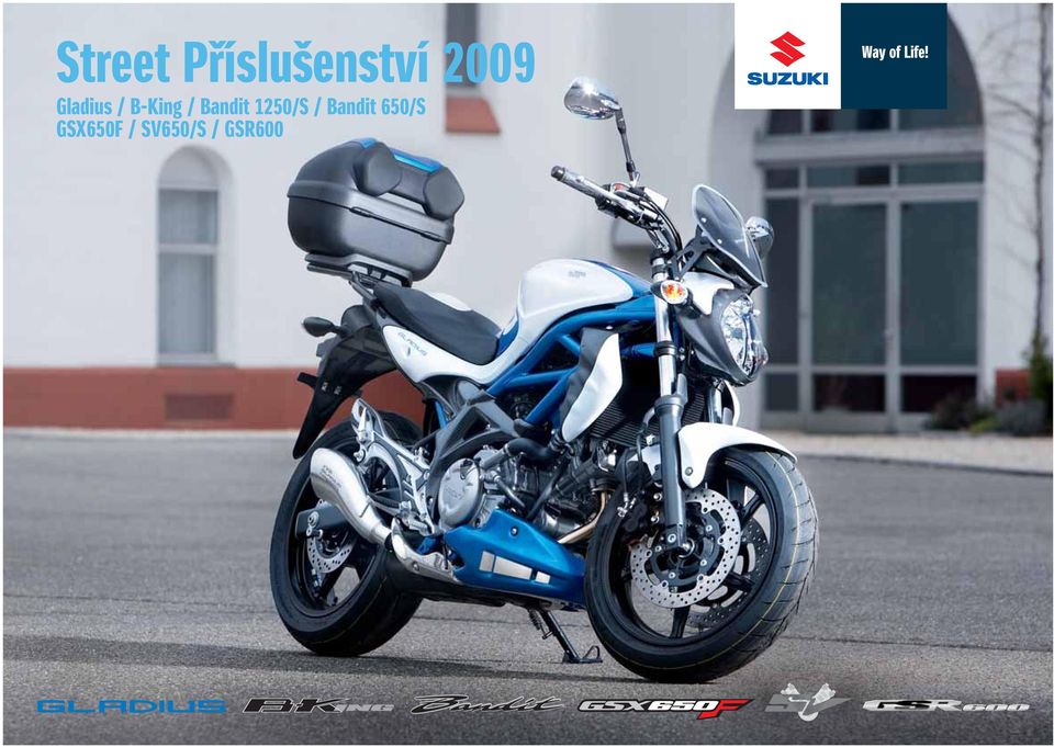 Bandit 1250/S / Bandit