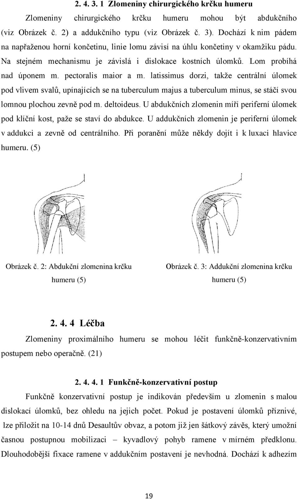 2. 1 ANATOMIE RAMENNÍHO KLOUBU. Articulatio humeri ramenní kloub je svým  geometrickým typem kloub kulovitý volný. (3) - PDF Free Download