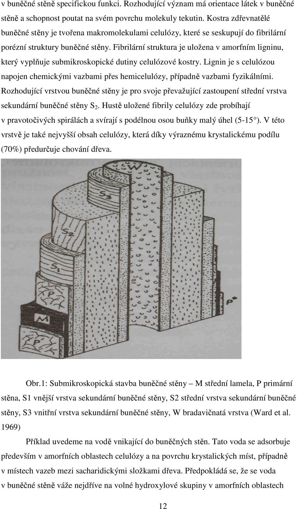 Fibrilární struktura je uložena v amorfním ligninu, který vyplňuje submikroskopické dutiny celulózové kostry.