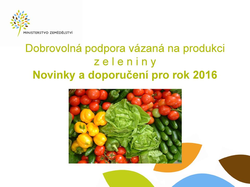 e l e n i n y Novinky