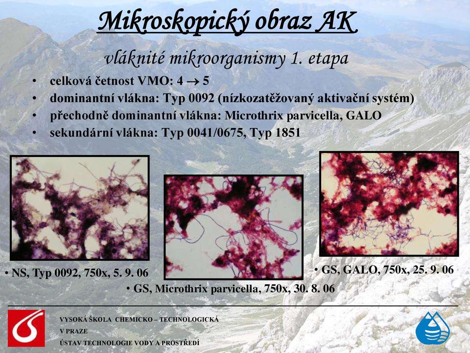 systém) přechodně dominantní vlákna: Microthrix parvicella, GALO sekundární vlákna: