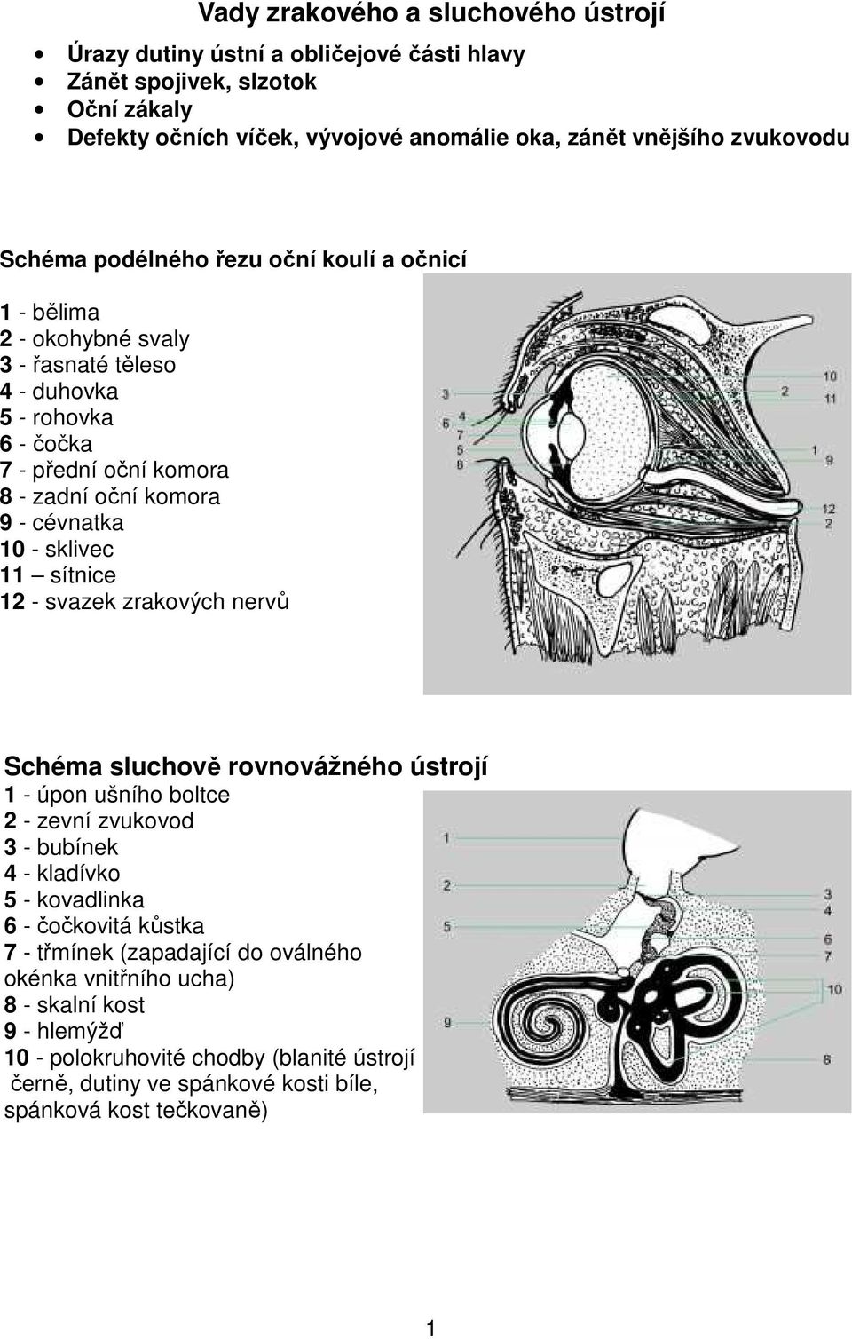 sklivec 11 sítnice 12 - svazek zrakových nervů Schéma sluchově rovnovážného ústrojí 1 - úpon ušního boltce 2 - zevní zvukovod 3 - bubínek 4 - kladívko 5 - kovadlinka 6 - čočkovitá kůstka 7