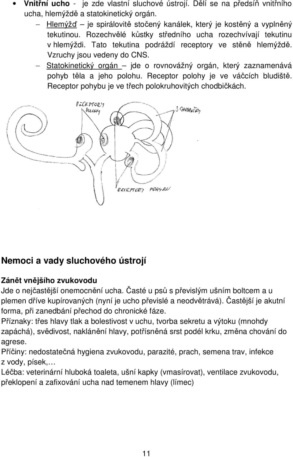 Statokinetický orgán jde o rovnovážný orgán, který zaznamenává pohyb těla a jeho polohu. Receptor polohy je ve váčcích bludiště. Receptor pohybu je ve třech polokruhovitých chodbičkách.