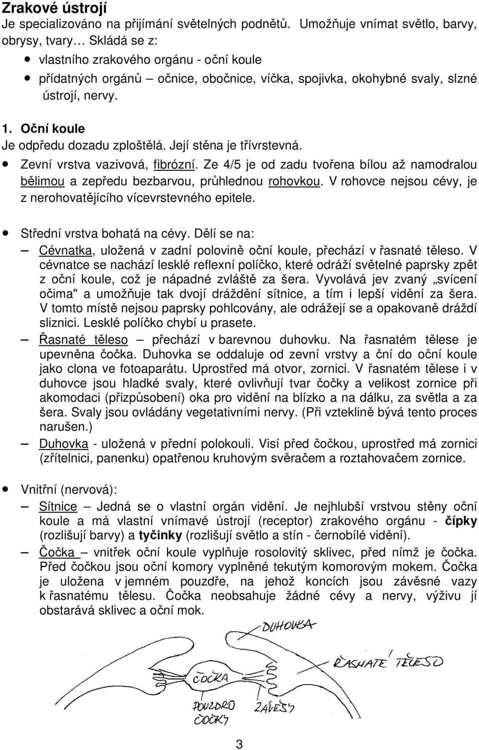 Oční koule Je odpředu dozadu zploštělá. Její stěna je třívrstevná. Zevní vrstva vazivová, fibrózní. Ze 4/5 je od zadu tvořena bílou až namodralou bělimou a zepředu bezbarvou, průhlednou rohovkou.