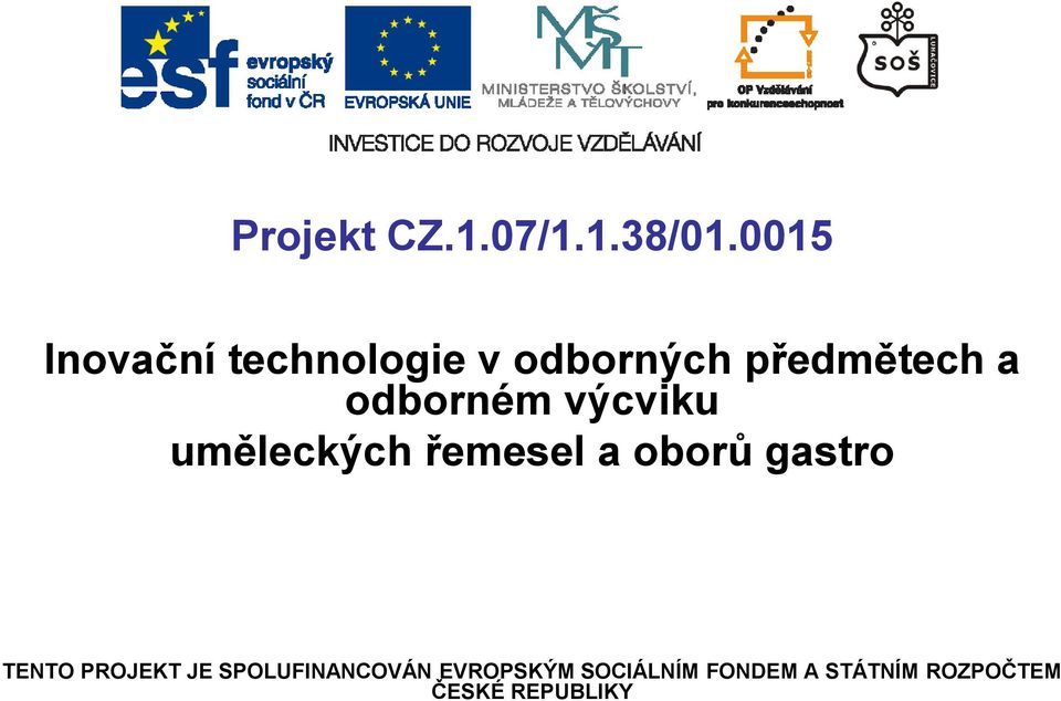 odborném výcviku uměleckých řemesel a oborů gastro