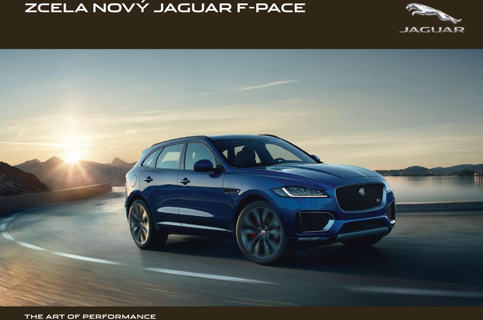 JAGUAR