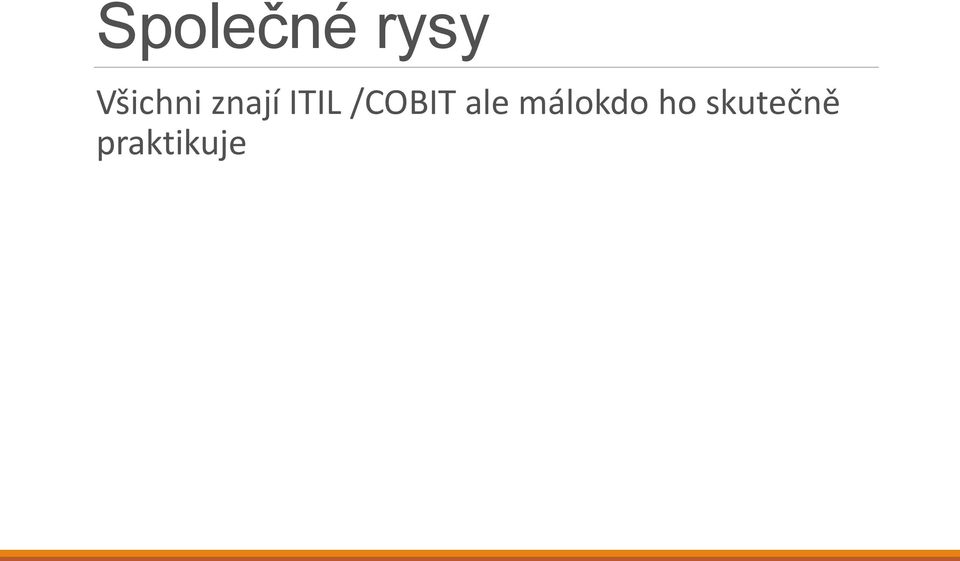 /COBIT ale málokdo