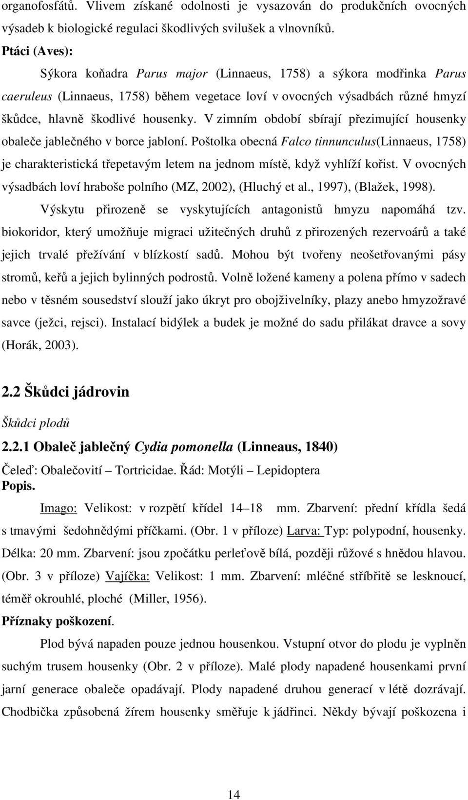 V zimním období sbírají přezimující housenky obaleče jablečného v borce jabloní.