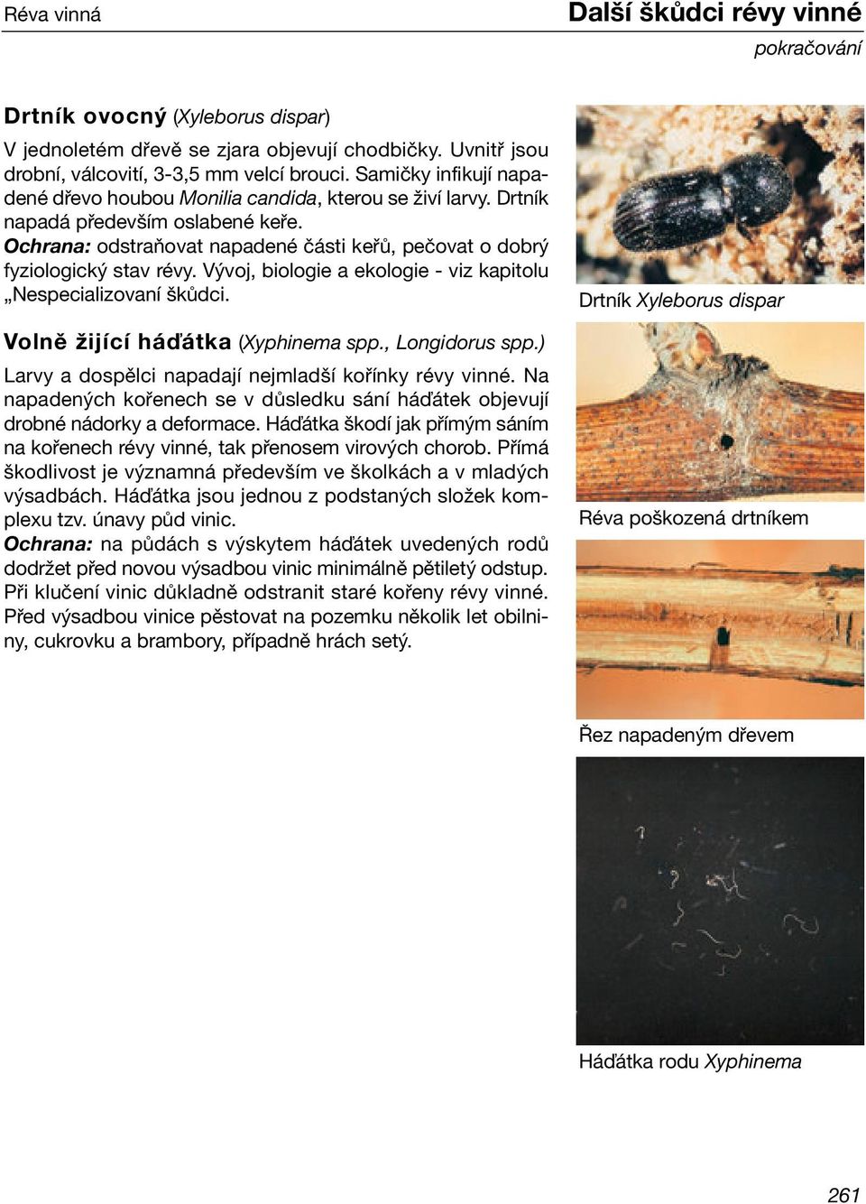 Vývoj, biologie a ekologie - viz kapitolu Nespecializovaní škůdci. Volně žijící háďátka (Xyphinema spp., Longidorus spp.) Larvy a dospělci napadají nejmladší kořínky révy vinné.