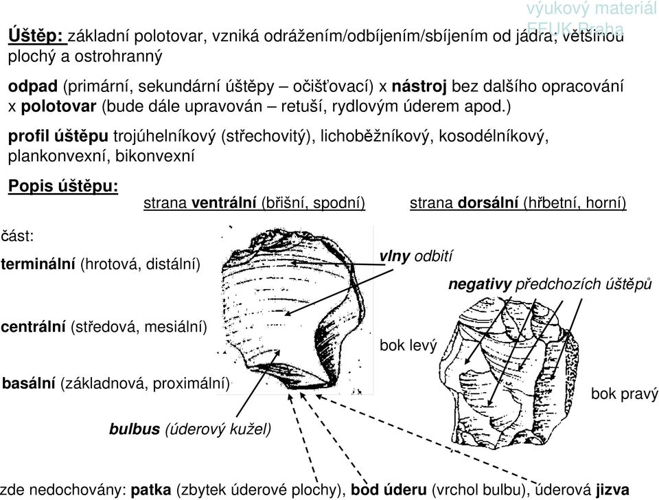 ) profil úštěpu trojúhelníkový (střechovitý), lichoběžníkový, kosodélníkový, plankonvexní, bikonvexní Popis úštěpu: strana ventrální (břišní, spodní) strana dorsální (hřbetní,