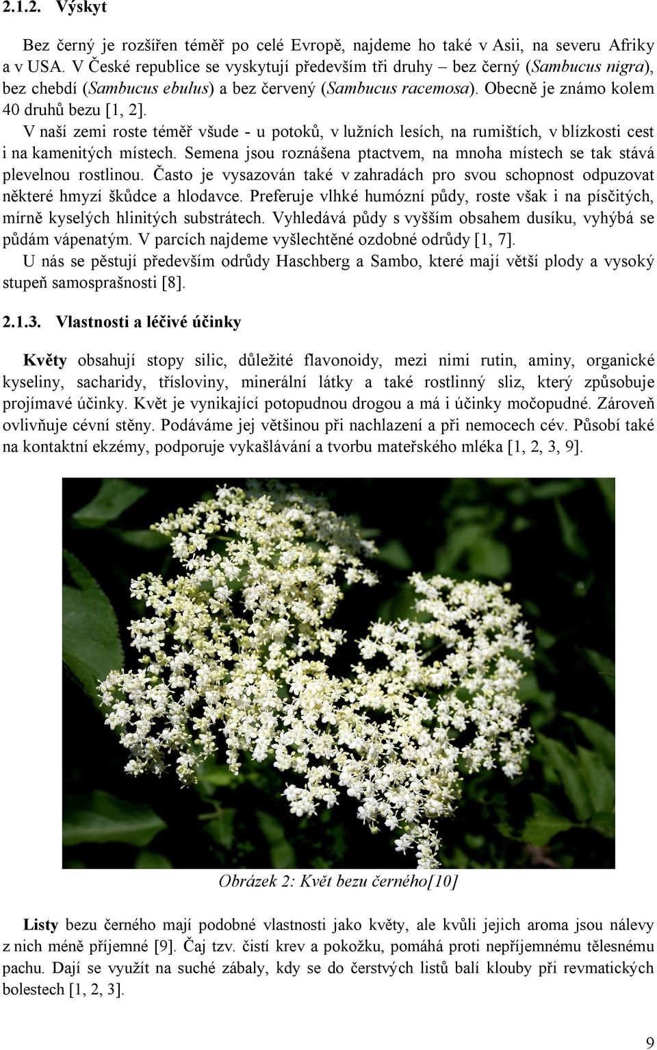 V naší zemi roste téměř všude - u potoků, v lužních lesích, na rumištích, v blízkosti cest i na kamenitých místech. Semena jsou roznášena ptactvem, na mnoha místech se tak stává plevelnou rostlinou.