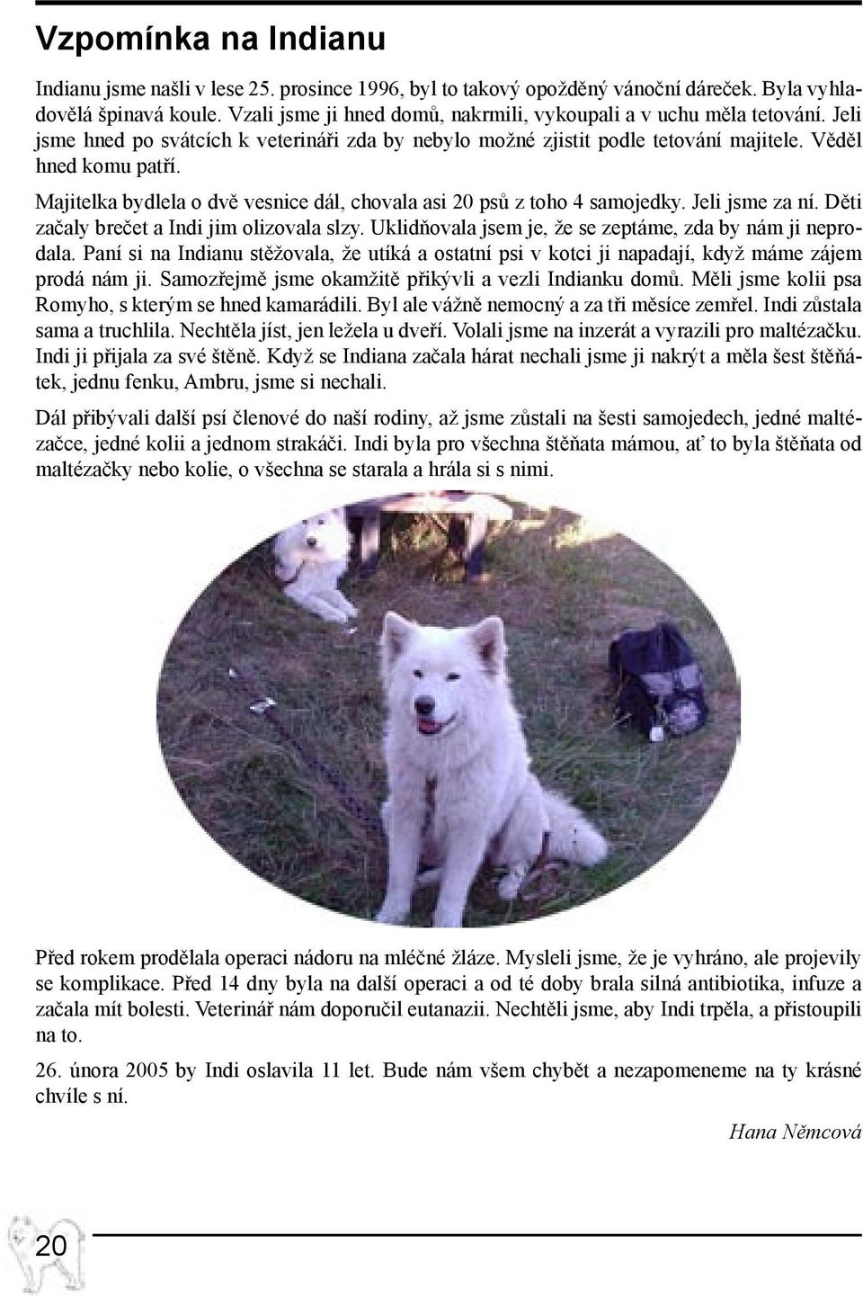 Majitelka bydlela o dvě vesnice dál, chovala asi 20 psů z toho 4 samojedky. Jeli jsme za ní. Děti začaly brečet a Indi jim olizovala slzy. Uklidňovala jsem je, že se zeptáme, zda by nám ji neprodala.