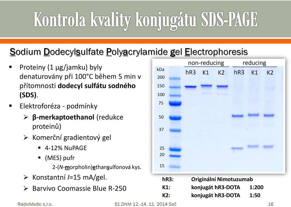 Elektrfréza - pdmínky β-merkaptethanl (redukce prteinů) Kmerční gradientvý gel 4-12% NuPAGE (MES) pufr
