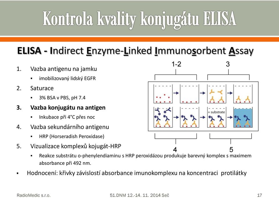Vazba sekundárníh antigenu HRP (Hrseradish Perxidase) 5.