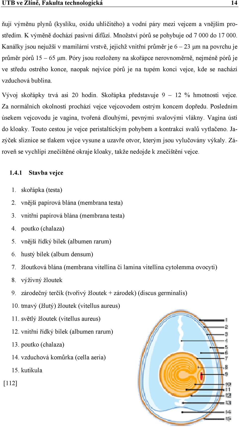 Póry jsou rozloženy na skořápce nerovnoměrně, nejméně pórů je ve středu ostrého konce, naopak nejvíce pórů je na tupém konci vejce, kde se nachází vzduchová bublina. Vývoj skořápky trvá asi 20 hodin.