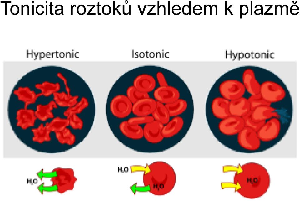 vzhledem