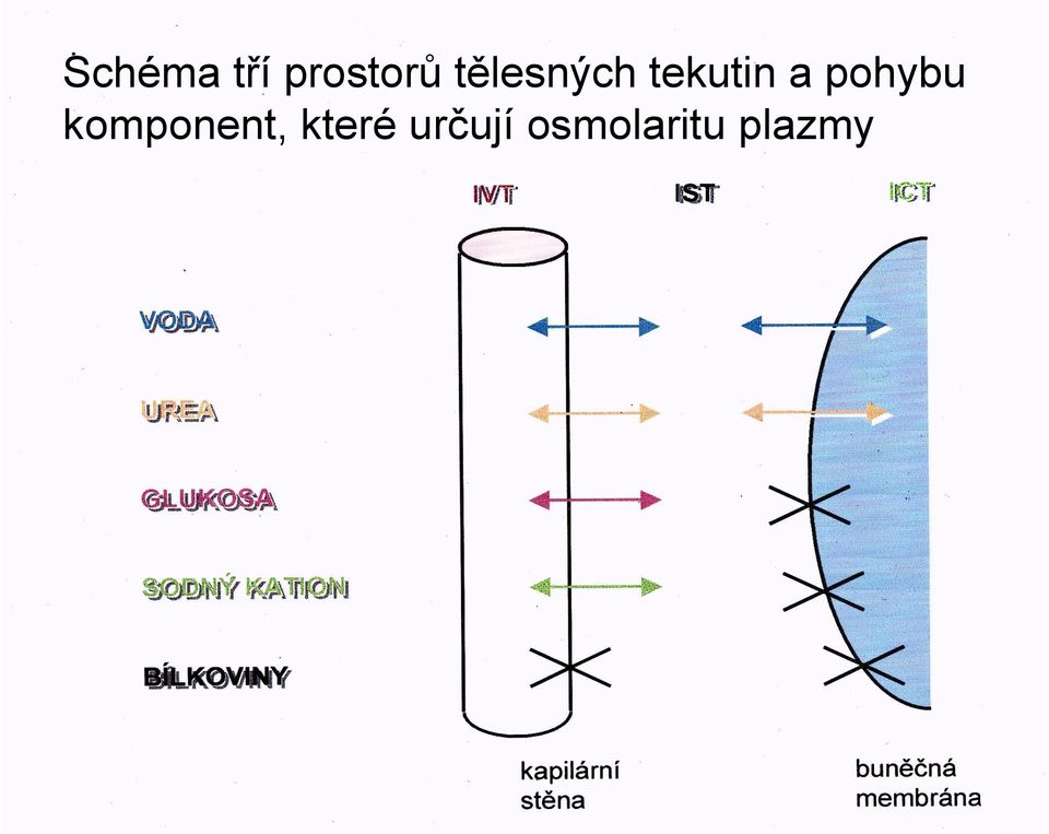 pohybu komponent,