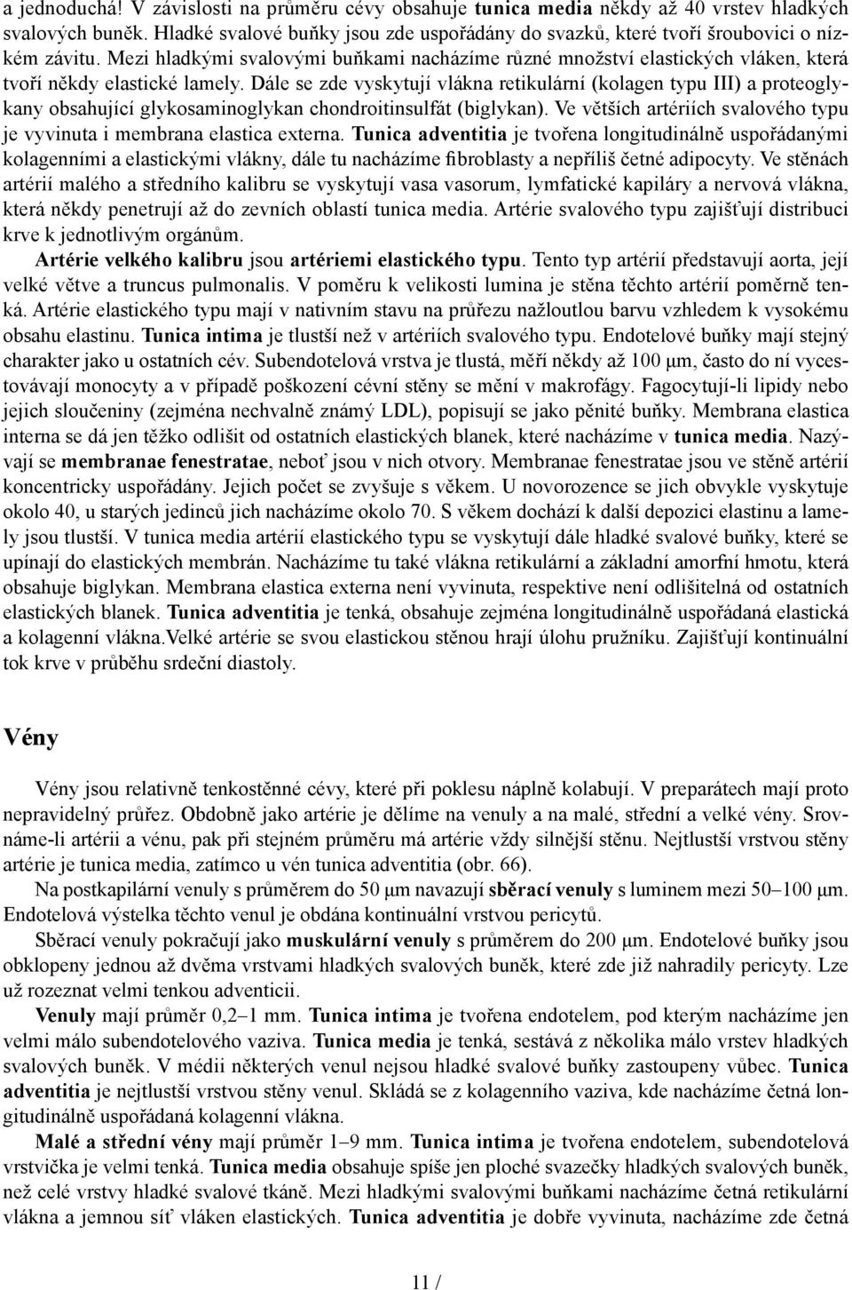 Mezi hladkými svalovými buňkami nacházíme různé množství elastických vláken, která tvoří někdy elastické lamely.