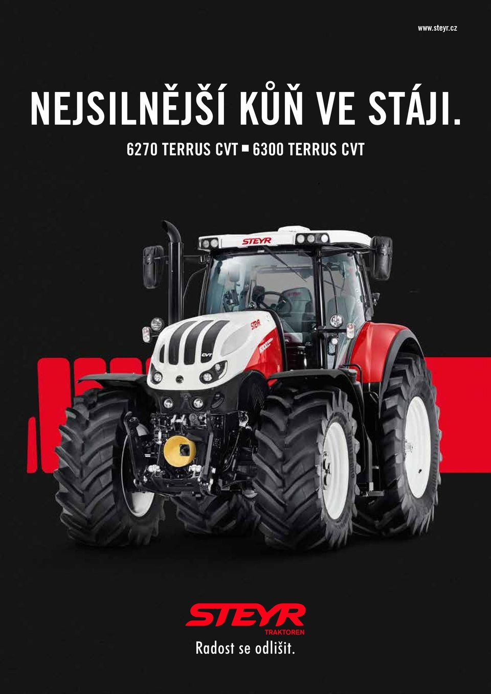 KŮŇ VE STÁJI.