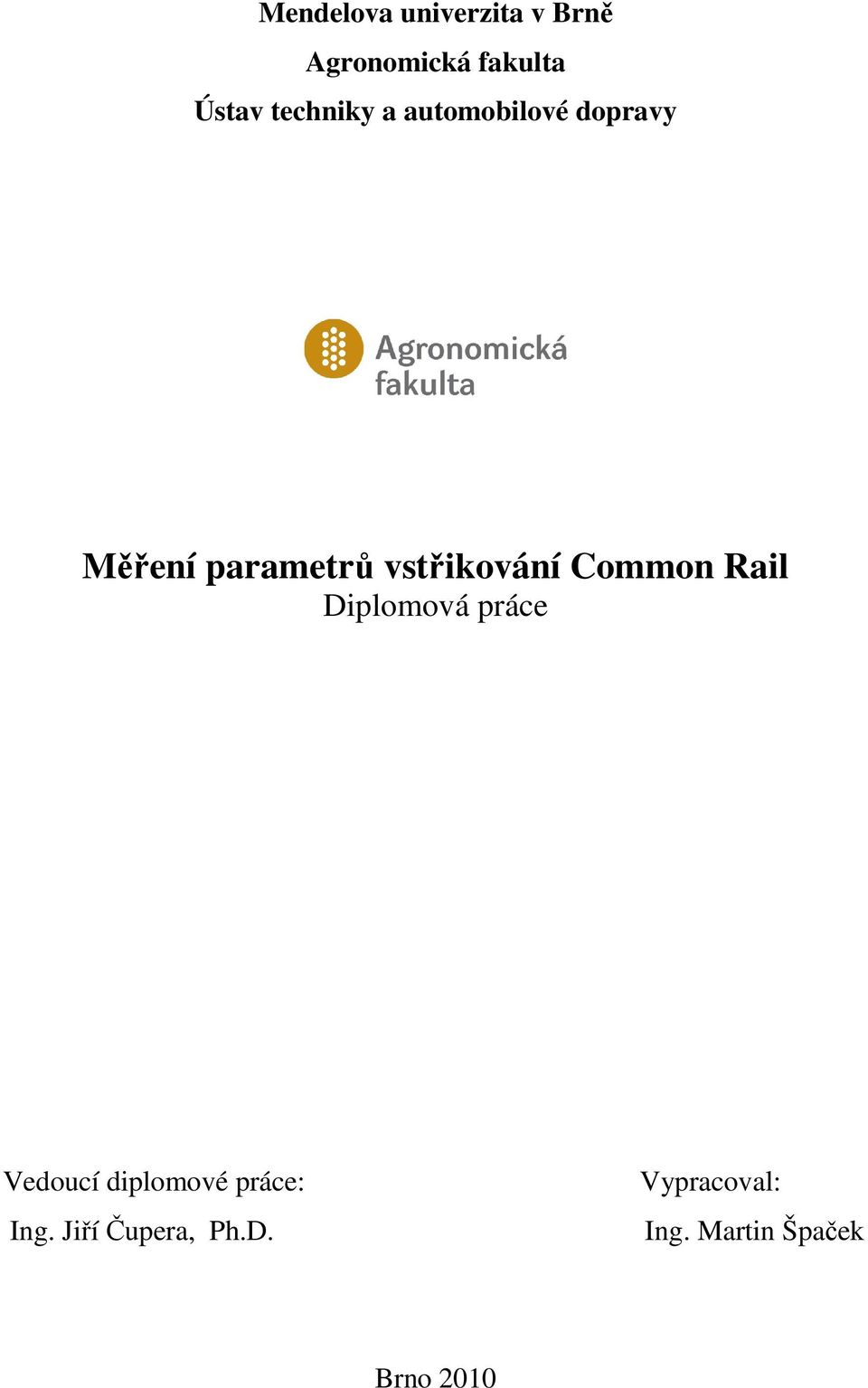 vstřikování Common Rail Diplomová práce Vedoucí diplomové