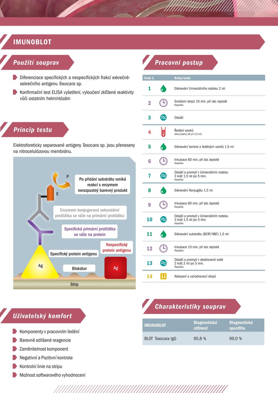 teplotě 3 Odsátí Princip testu 4 Ředění vzorků séra/plazmy (8 µl+1,5 ml) Elektroforeticky separované antigeny Toxocara sp. jsou přeneseny na nitrocelulózovou membránu.