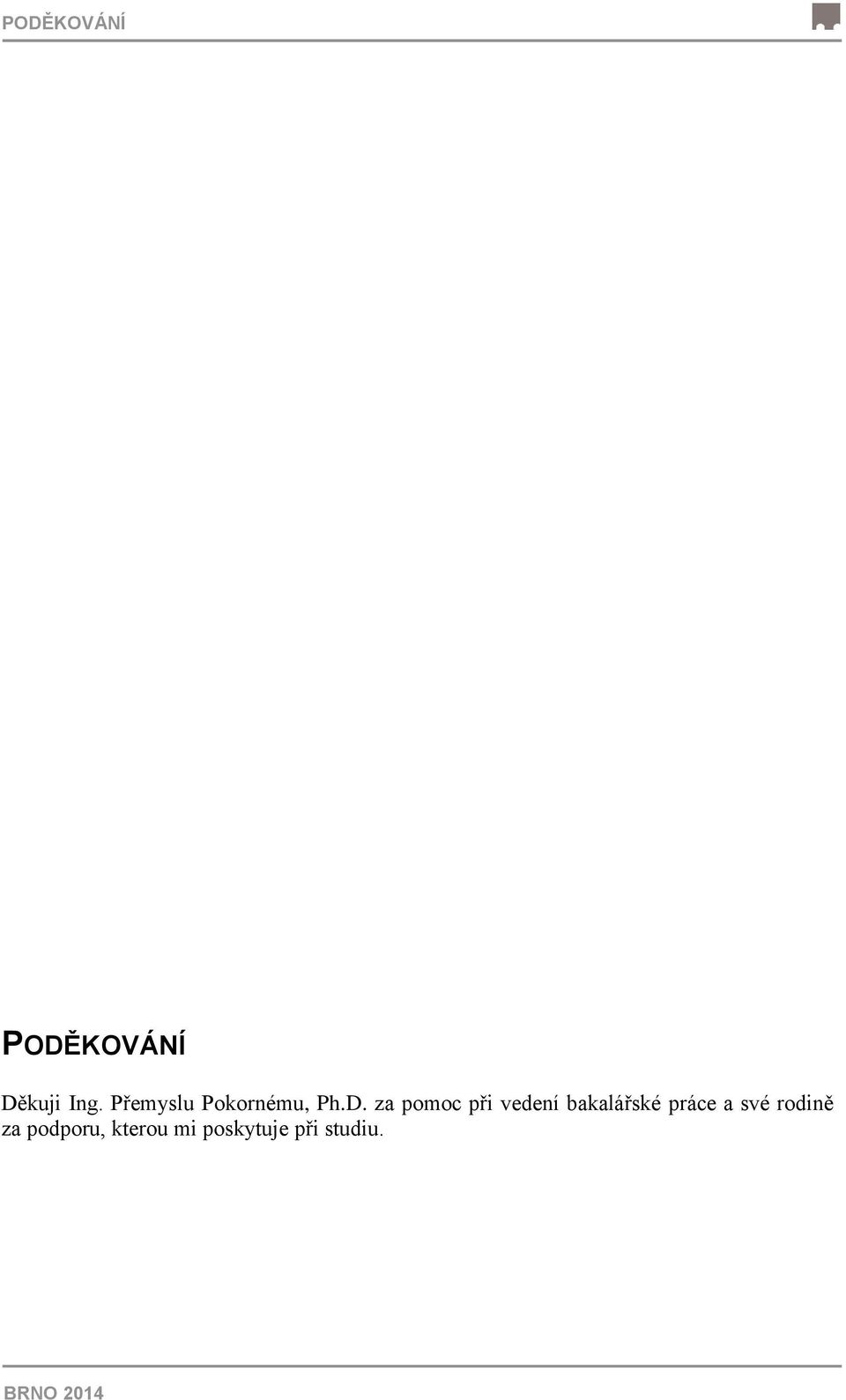 za pomoc při vedení bakalářské práce a