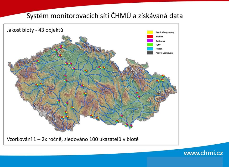 Biofilm Dreissena Ryby Plůdek Pasivní vzorkovače
