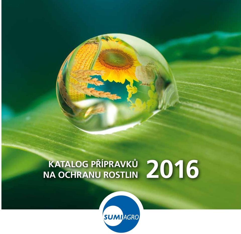 2016 NA