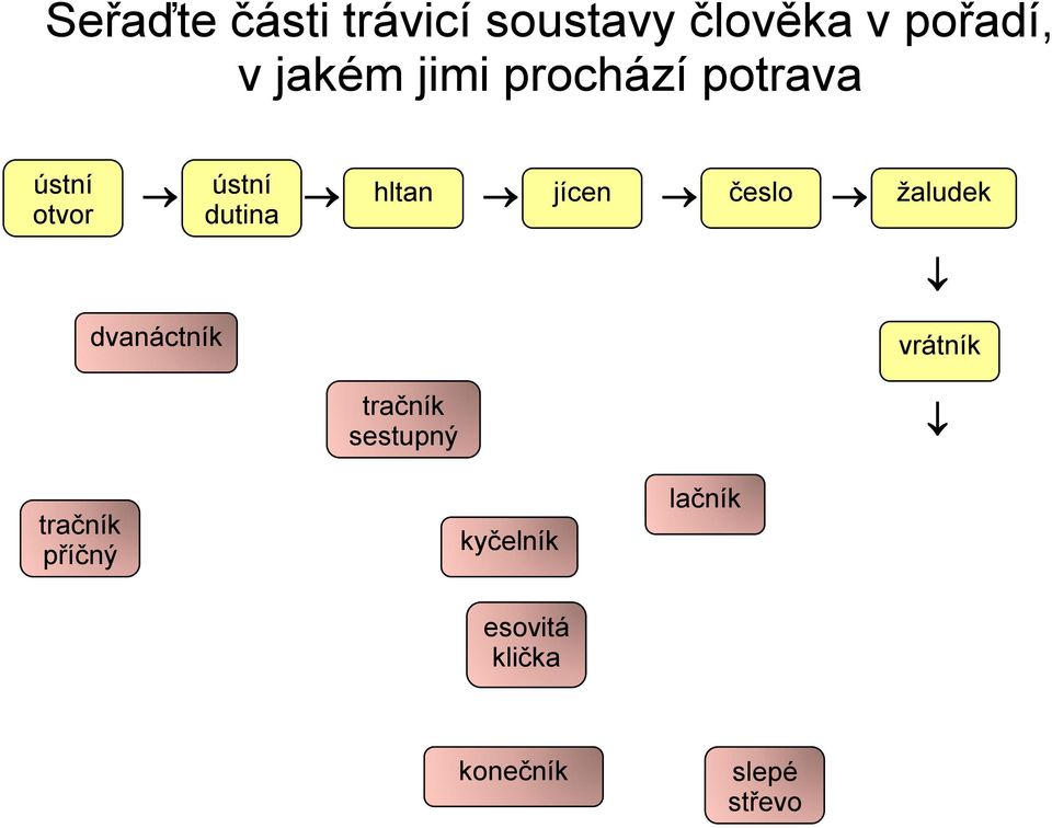 trávicí