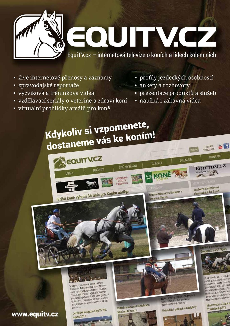 zpravodajské reportáže výcviková a tréninková videa vzdělávací seriály o veterině a zdraví koní