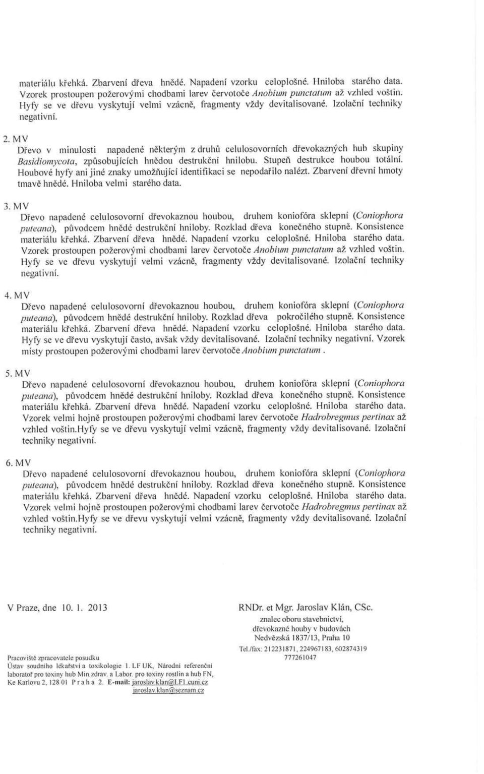 MV D řevo v minulosti napadené n ěkterým z druh ů celulosovorních d řevokazných hub skupiny Basidiomycota, zp ůsobujících hn ědou destrukční hnilobu. Stupeň destrukce houbou totální.