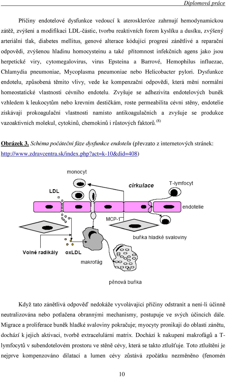 a Barrové, Hemophilus influezae, Chlamydia pneumoniae, Mycoplasma pneumoniae nebo Helicobacter pylori.