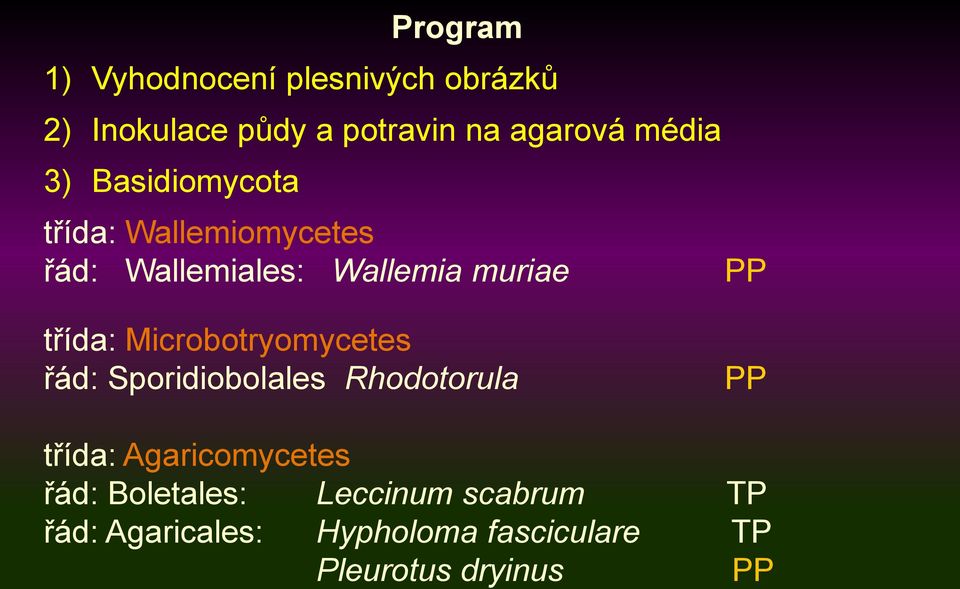 třída: Microbotryomycetes řád: Sporidiobolales Rhodotorula PP třída: Agaricomycetes